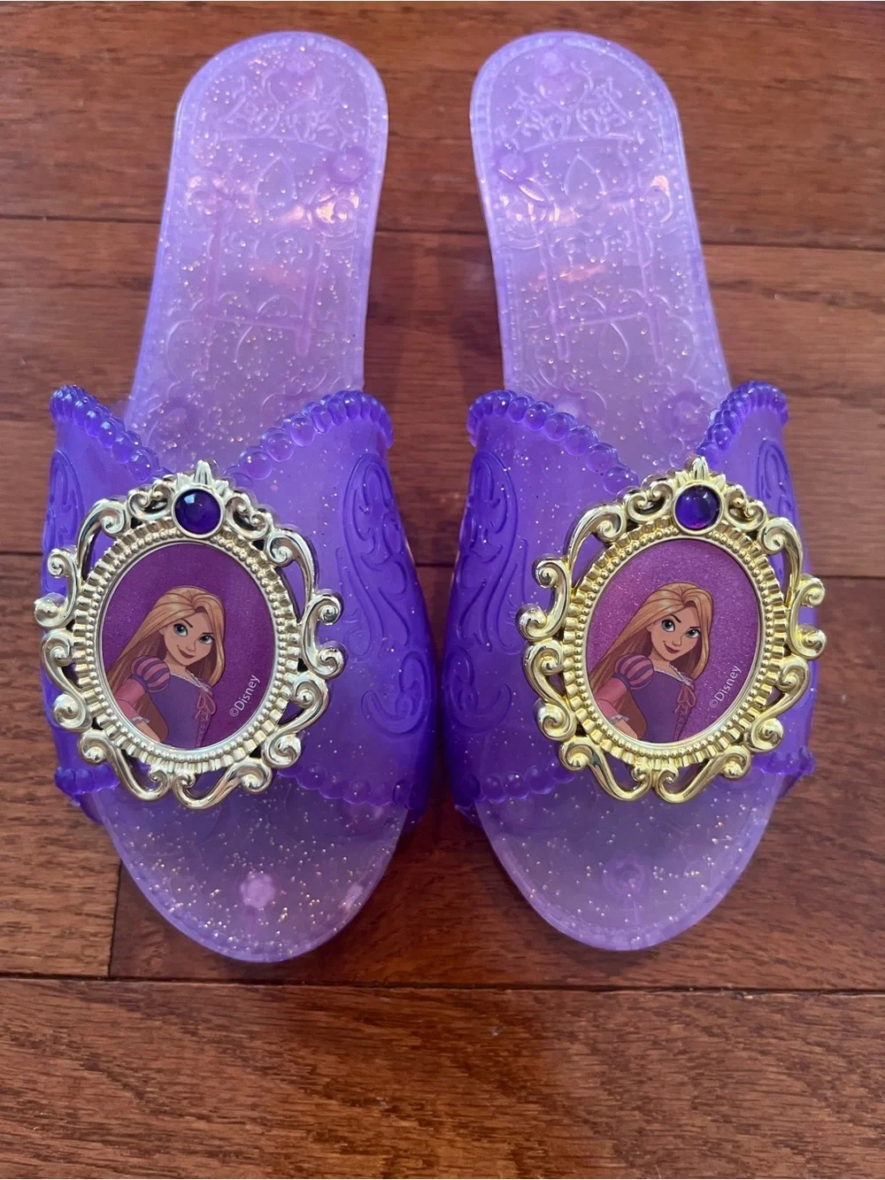Disney Rapunzel Princess Dress Costume with Matching Shoes